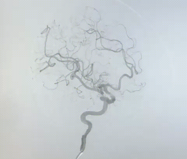 640 (1).gif